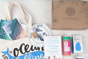 Eco-Conscious Subscription Boxes Article Thubnail