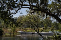 Extended Museum Sculpture Gardens Image 3