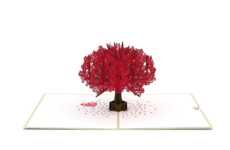 Cherry Blossom-Themed 3D Cards