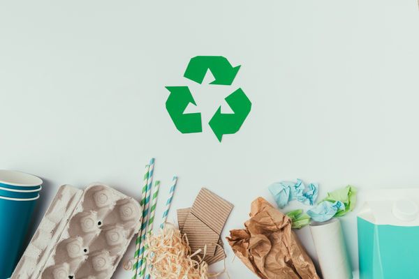 25 Sustainable Brand Initiatives