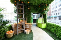 Stress Relief Skincare Buses Image 2
