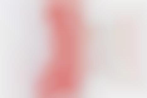 Bisexual Dating Shows: Ikki Twins In MTV's 'A Double Shot at Love'