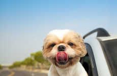 Pet-Friendly Rideshare Apps