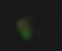 Tech-Focused AI Implants Image 1
