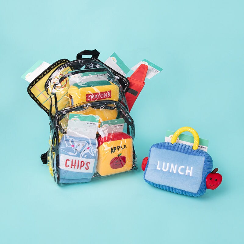 School-Themed Dog Toys