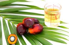 Lab-Grown Palm Oils