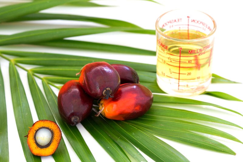 Lab-Grown Palm Oils