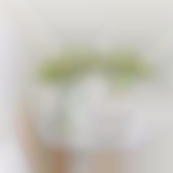 Integrated Smartphone Stand Vases