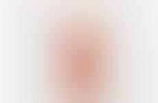 Novelty Fashion-Branded Items