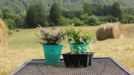 Biodegradable Flower Pots