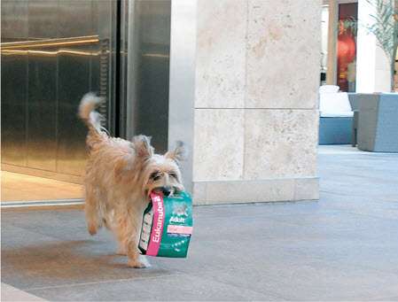 Shopping Dogs to Sell Pet Food