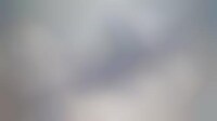 Space Tourism Trials Image 1