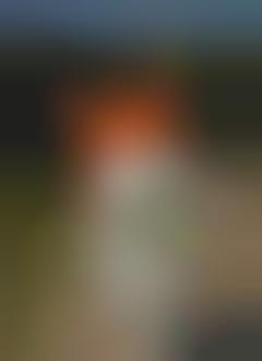 Tourism-Boosting Mascots