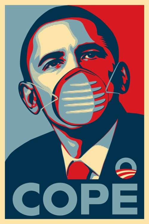 Swine Flu Social Art