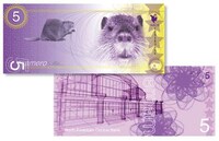 Unity-Enhancing Currency Image 2