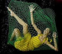 Models as Fish Image 2