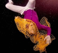Models as Fish Image 3