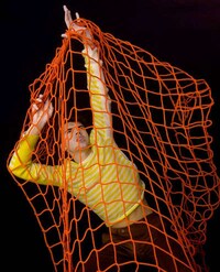 Models as Fish Image 4