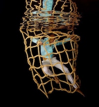 Models as Fish Image 7