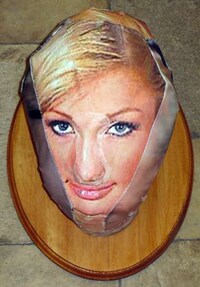 DIY Celebrity Taxidermy