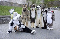 Animalized People Image 5
