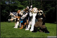 Animalized People Image 7