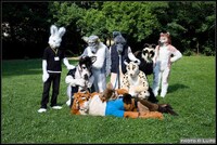 Animalized People Image 8
