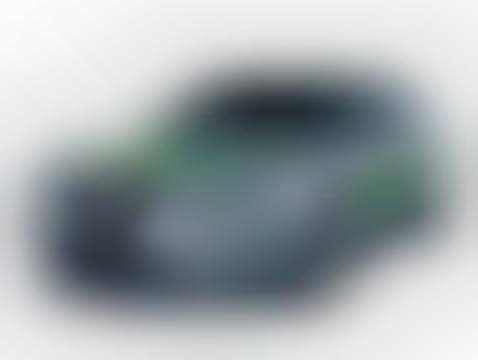 Global Auto Greening