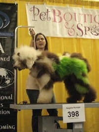 Skeleton Groomed Dogs Image 4