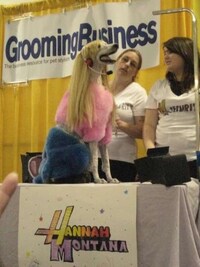 Skeleton Groomed Dogs Image 8