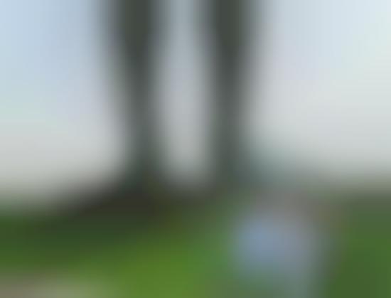 Monstrous Man Statues