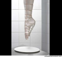 Extreme Footwear Image 2