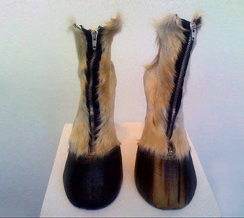 Taxidermy Footwear