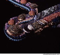 Real-Life Ruby Slippers Image 8