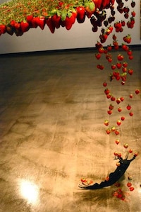 Rotting Strawberry Installations Image 3