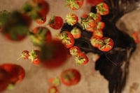 Rotting Strawberry Installations Image 4