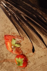 Rotting Strawberry Installations Image 5
