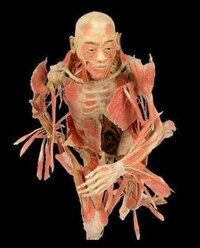 Banning Macabre Art Image 2
