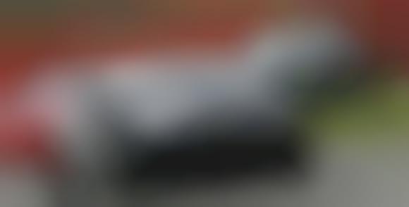 Gamers as Racecar Drivers