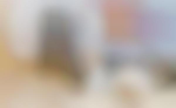 POV Wearable Pet Cameras