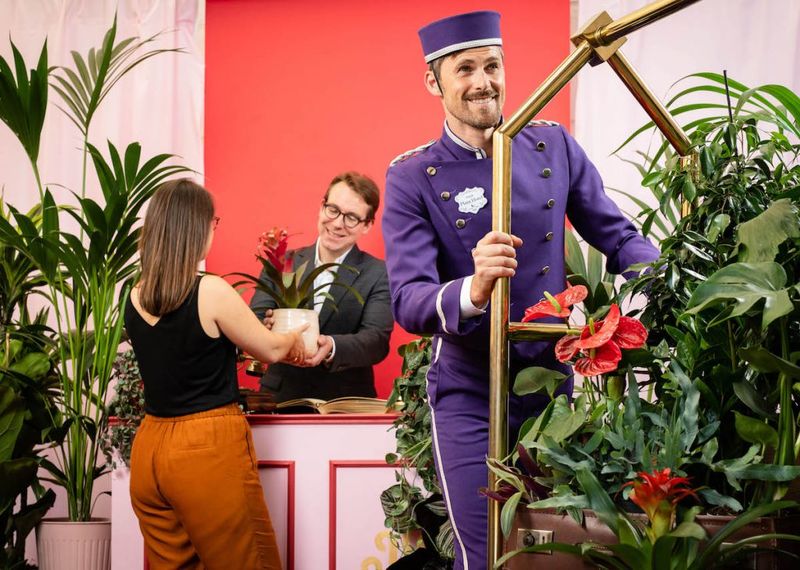 Plant Care Hotels