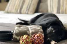 Dog Hospitality Travel Kits