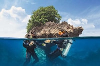 Aquatic Exploration Smartwatches Image 4