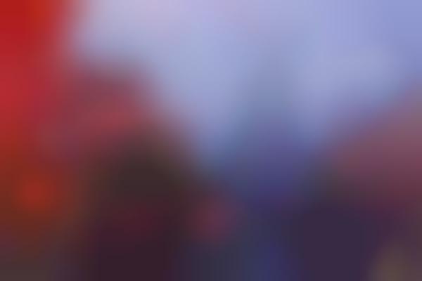 Theme Park Halloween Parties