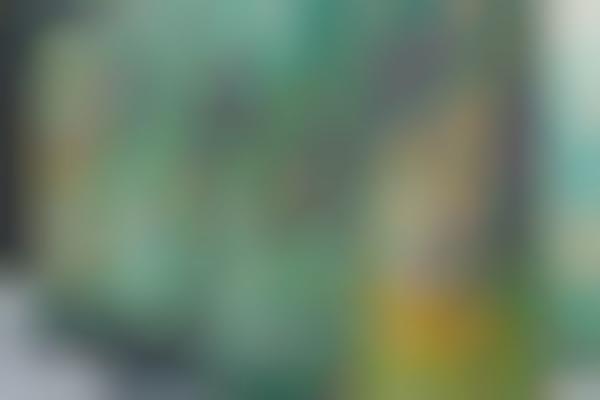 Cannabis Beverage Partnerships