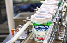 Corporate Carbon Reduction Commitments