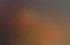 Honeyed Fried Chicken Sandwiches