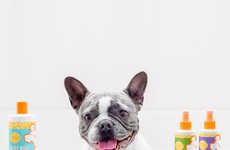 Fragrance-Focused Pet Shampoos