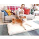 Fully Washable Dog Beds Image 1