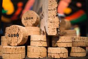 Carbon-Positive Cork Packaging Article Thubnail